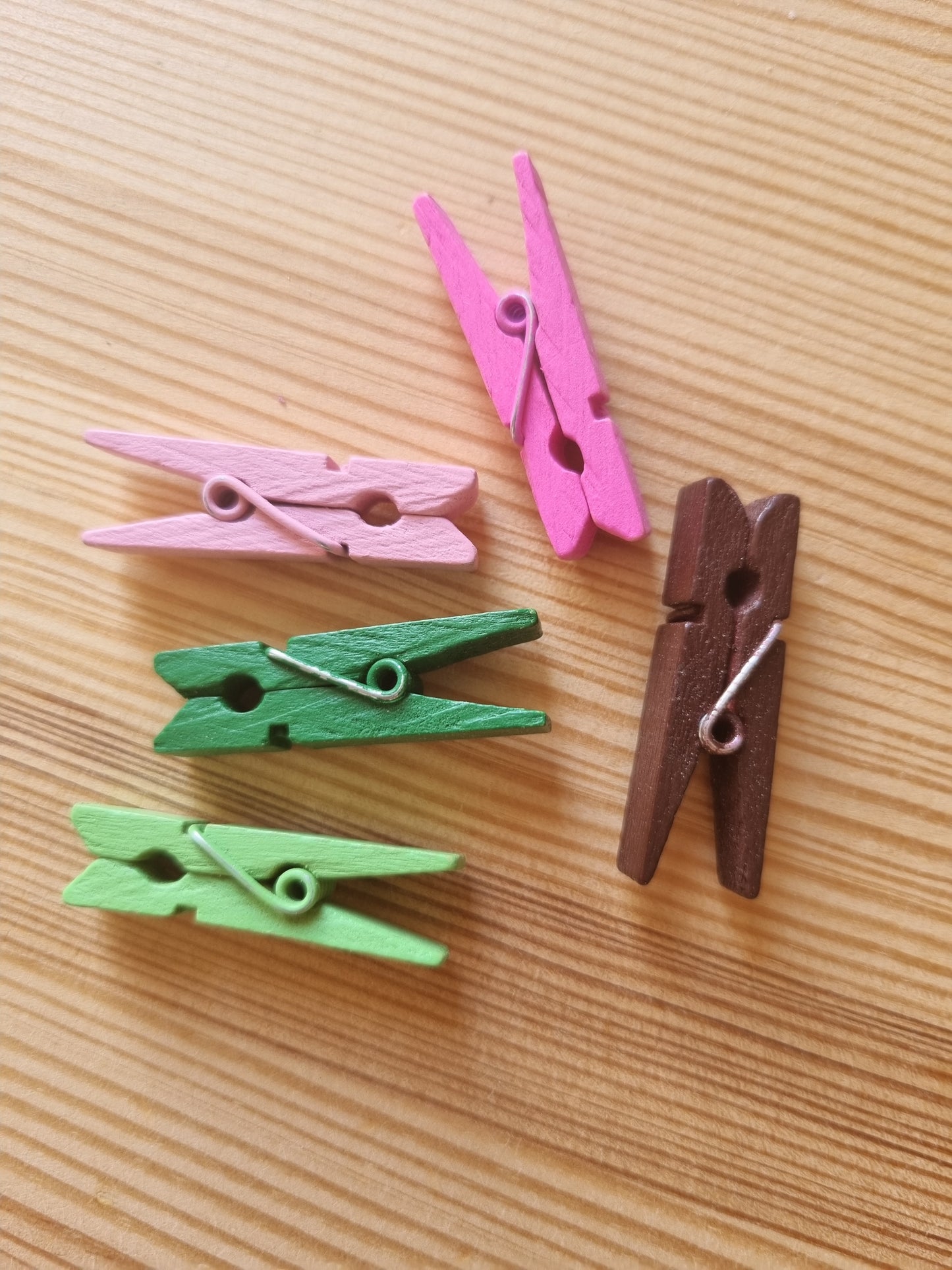 Mini Wooden Pegs x5